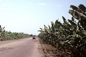 98062901.jpg (17490 バイト)